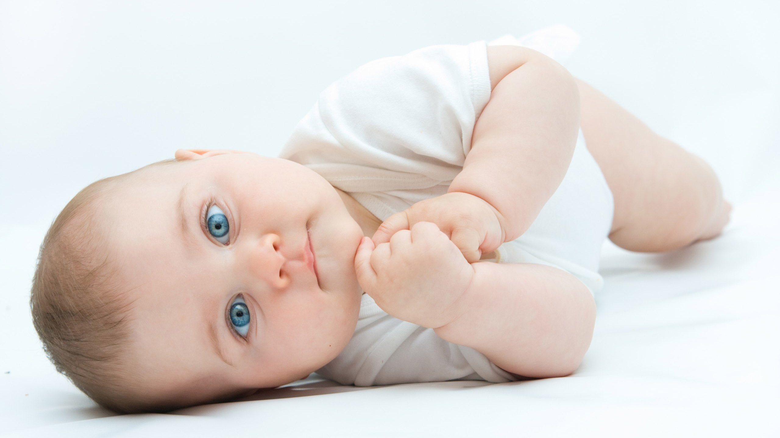 捐卵公司试管婴儿移鲜胚成功率高吗